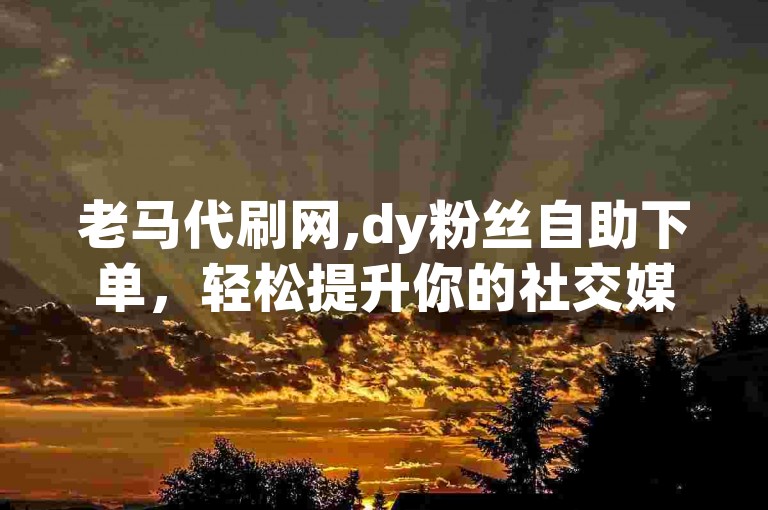 老马代刷网,dy粉丝自助下单，轻松提升你的社交媒体影响力。