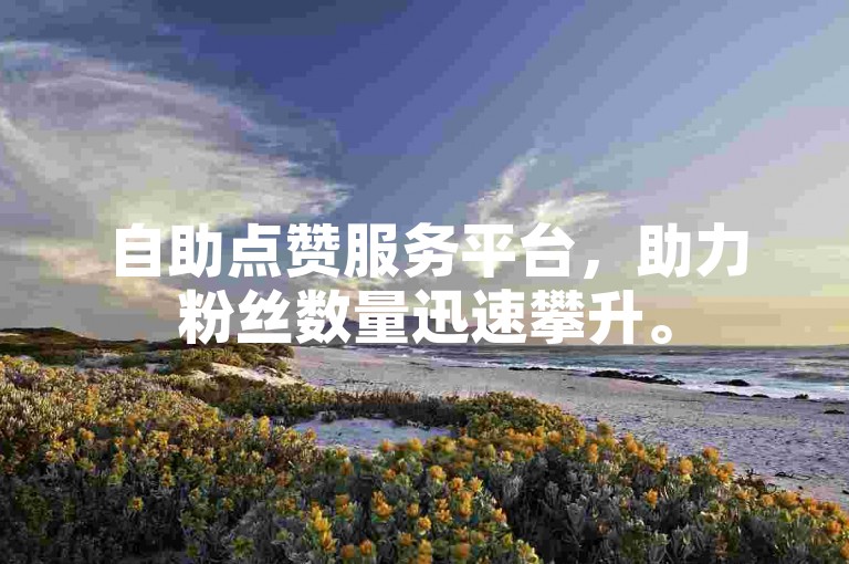 自助点赞服务平台，助力粉丝数量迅速攀升。