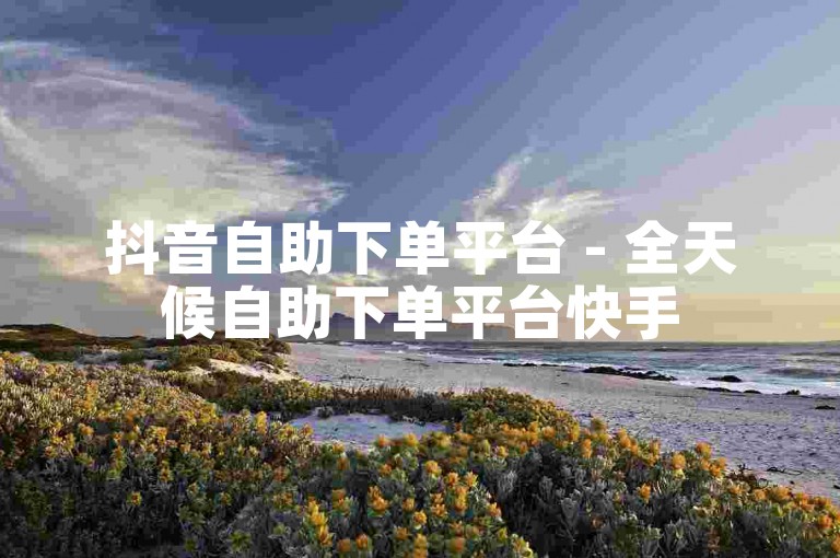 抖音自助下单平台 - 全天候自助下单平台快手