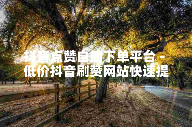 抖音点赞自助下单平台 - 低价抖音刷赞网站快速提升人气