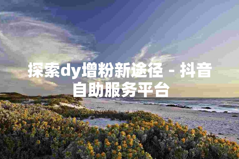 探索dy增粉新途径 - 抖音自助服务平台