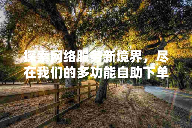 探索网络服务新境界，尽在我们的多功能自助下单网站，专为dy评论业务量身打造。