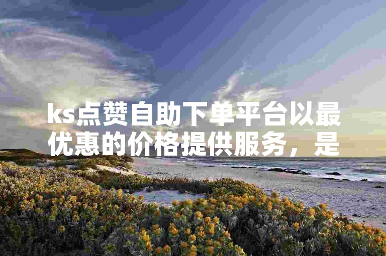 ks点赞自助下单平台以最优惠的价格提供服务，是代刷业务的首选网站。