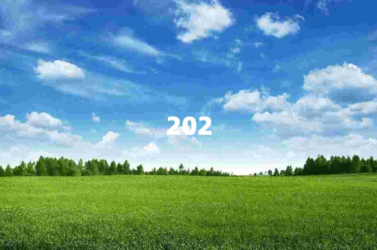 2025拼多多互帮群二维码拼多多秒杀助手