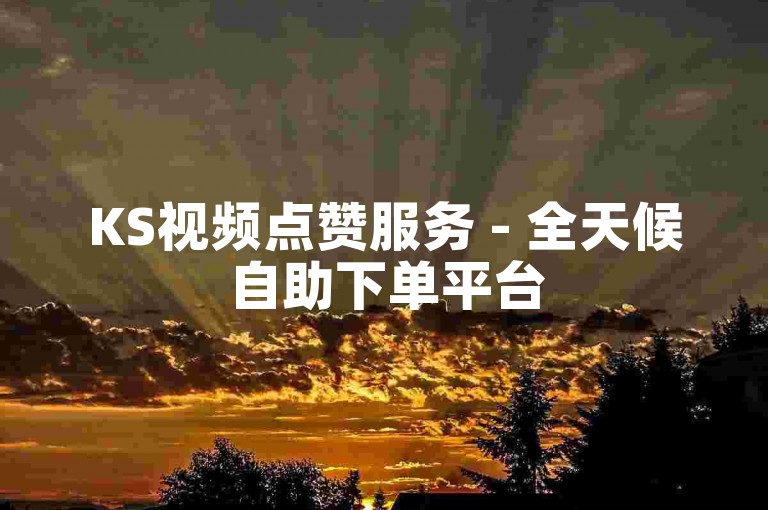 KS视频点赞服务 - 全天候自助下单平台