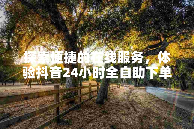 探索便捷的在线服务，体验抖音24小时全自助下单网站的流畅操作。