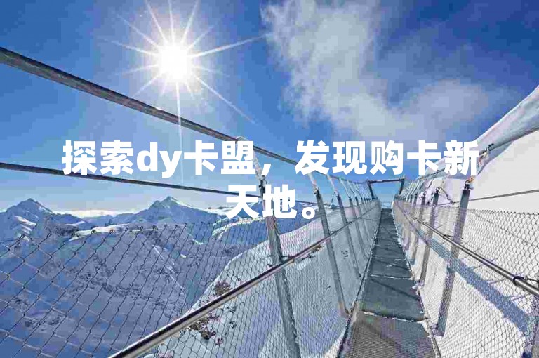 探索dy卡盟，发现购卡新天地。