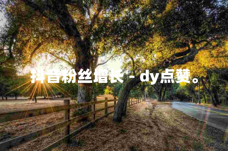 抖音粉丝增长 - dy点赞。