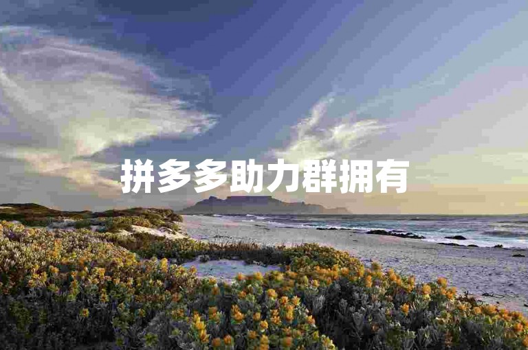 拼多多助力群拥有500位真实成员，我们是一个专注于帮助新人的500人团队pdd助力新人号。