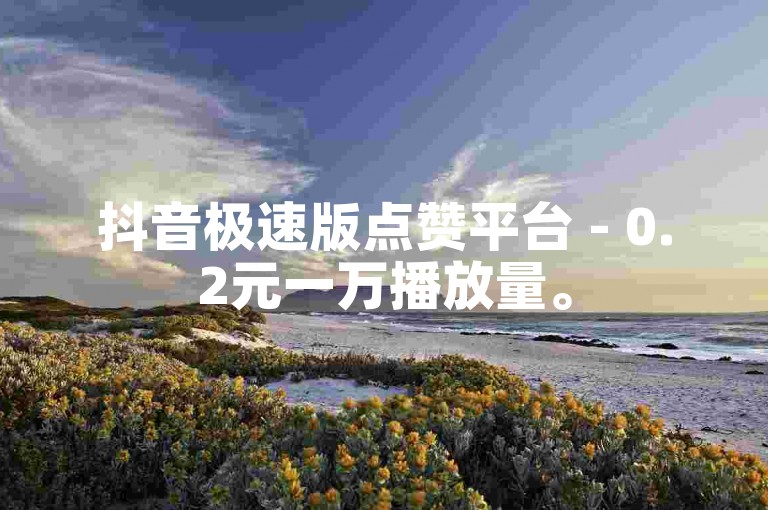 抖音极速版点赞平台 - 0.2元一万播放量。