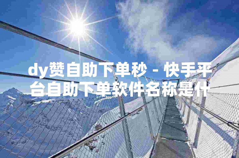 dy赞自助下单秒 - 快手平台自助下单软件名称是什么？