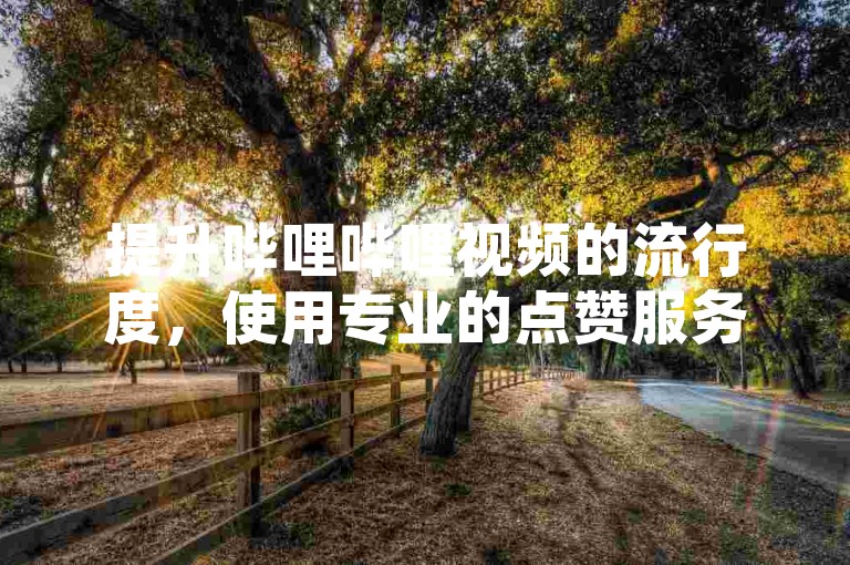 提升哔哩哔哩视频的流行度，使用专业的点赞服务和刷网站点击量软件可以有效增加视频的曝光率。